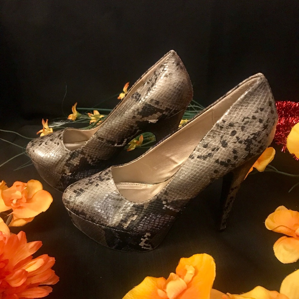 Qupid Platforms - image 1